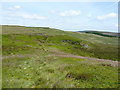 SJ0936 : Moorland and a faint path at Careg-y-Caws by Richard Law