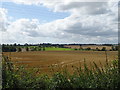 Crop field near Tunningham Farm