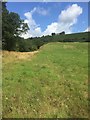 View towards Penmynydd Cottage