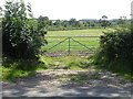 Field entrance off Whittlebury Road, Silverstone