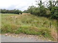 Wetland next to the Skerriff Road