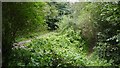 Helsby Quarry Nature Reserve