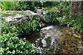 Calbourne, Winkle Street: The river running by the cottages 1