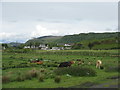 The Isle of Seil Golf Course