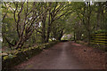 Old Road at Kingswells, Aberdeen