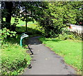 Path descending from Vere Street, Gilfach