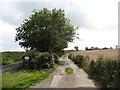 Track to Woodhouse Farm