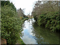 River Wey Navigation at Cartbridge