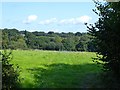 Road Meadow Pasture