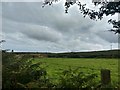 Farmland near Bartinney Downs