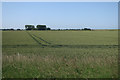 TF4432 : Field on Gedney Marsh by Hugh Venables