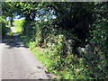 Sticil faen ar heol fach / Stone stile on minor road