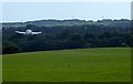 Spilsted Farm Airfield (1)