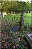 TM2552 : Rose marking Edward Fitzgerald's grave, Boulge by Christopher Hilton