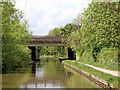 Canal bridge near Kettlebrook, Staffordshire