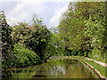 Coventry Canal near Kettlebrook in Staffordshire