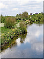 River Tame east of Fazeley in Staffordshire