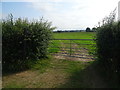 Field entrance near Bob Hills