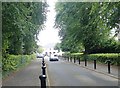 Looking towards Dublin Road along Castle Avenue from the main gates of Castlewellan Forest Park