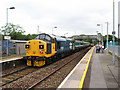 Class 37 at Pengam