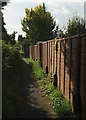 Footpath to Middle Bourne