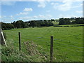 Farmland between Cae Gwenyn and Caefaes