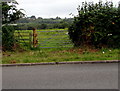 Field gates alongside Hengoed Road, Cefn Hengoed