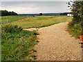 SU0686 : Footpath, The Claypits, Greenhill, Lydiard Millicent by Brian Robert Marshall