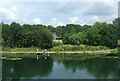 Fishing pond near Newport