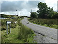 Sheep on the road at Glandwr