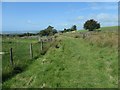 Public footpath crossing the Bryngwyn Branch slate trail