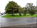 Early signs of autumn on a Wick corner in the Vale of Glamorgan