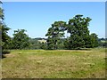 Site of Buckhurst Wood