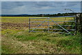 Field gate beside Chute Causeway