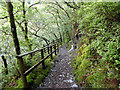 Footpath in Cwm Ystwyth