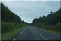 Driving along the A719 on a dull day