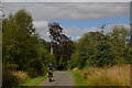 NJ8520 : Road in Middleton Wood, Aberdeenshire by Andrew Tryon