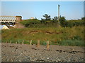 Erosion of bank near the South Esk Viaduct