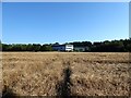 Lower Forge Brook/Cranham Brook