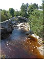 NH9022 : Carrbridge - The Old Pack Horse Bridge by Rob Farrow