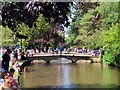 SP1620 : The River Windrush in Bourton-on-the-Water by Steve Daniels