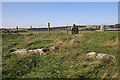 Upper Auchnagorth Stone Circle (4)