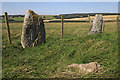 Upper Auchnagorth Stone Circle (6)