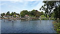 The weir downstream from Walton-on-Thames