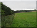 NT7565 : West strip on Belstruther Farm near Cockburnspath in the Scottish Borders by ian shiell