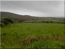 V4972 : Kerry countryside by Neville Goodman