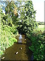 The River Cam, Littlebury 