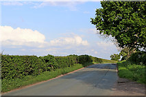 SK1508 : Capper's Lane north-west of Whittington in Staffordshire by Roger  D Kidd