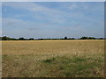 Stubble field near Church End