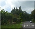 Tunnel Road entering woodland near Northlea Farm